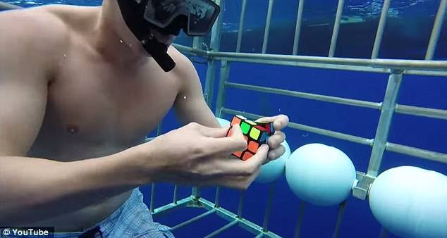 Rubix cube underwater.