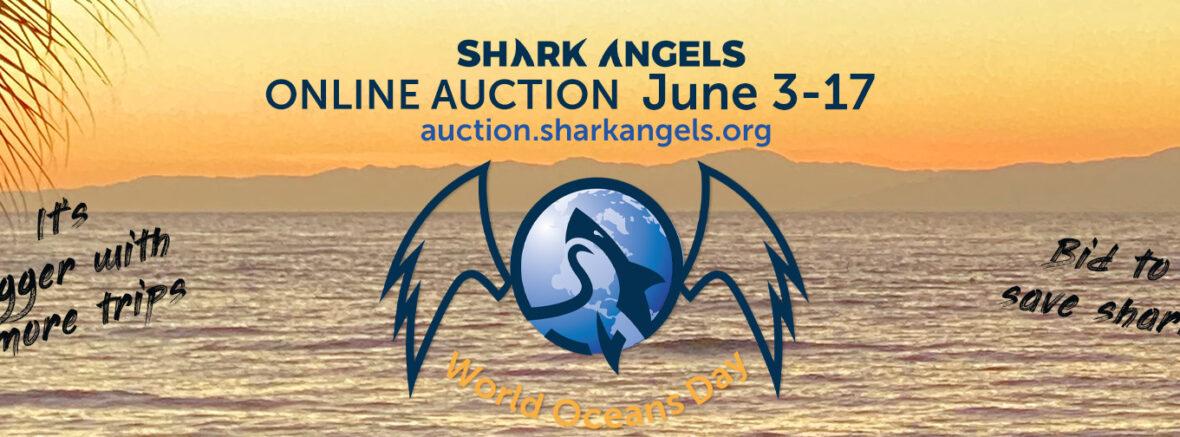 shark-angels-world-oceans-day-auction-2023-launches-shark-angels