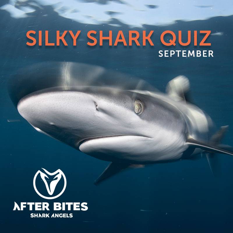 Silky Shark Quiz