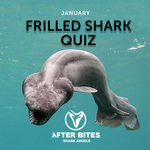 frilled shark quiz.