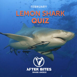 Lemon Shark Quiz