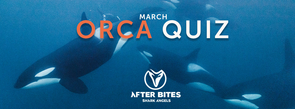 Orca Trivia Quiz - After Bites | SHARK ANGELS