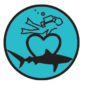 Shark Conservation Trips