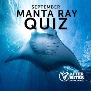 Manta Ray Trivia Quiz