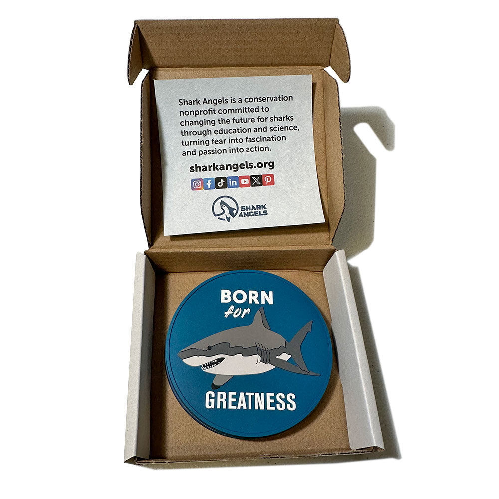 Shark Gift Box for Adults - Image 12