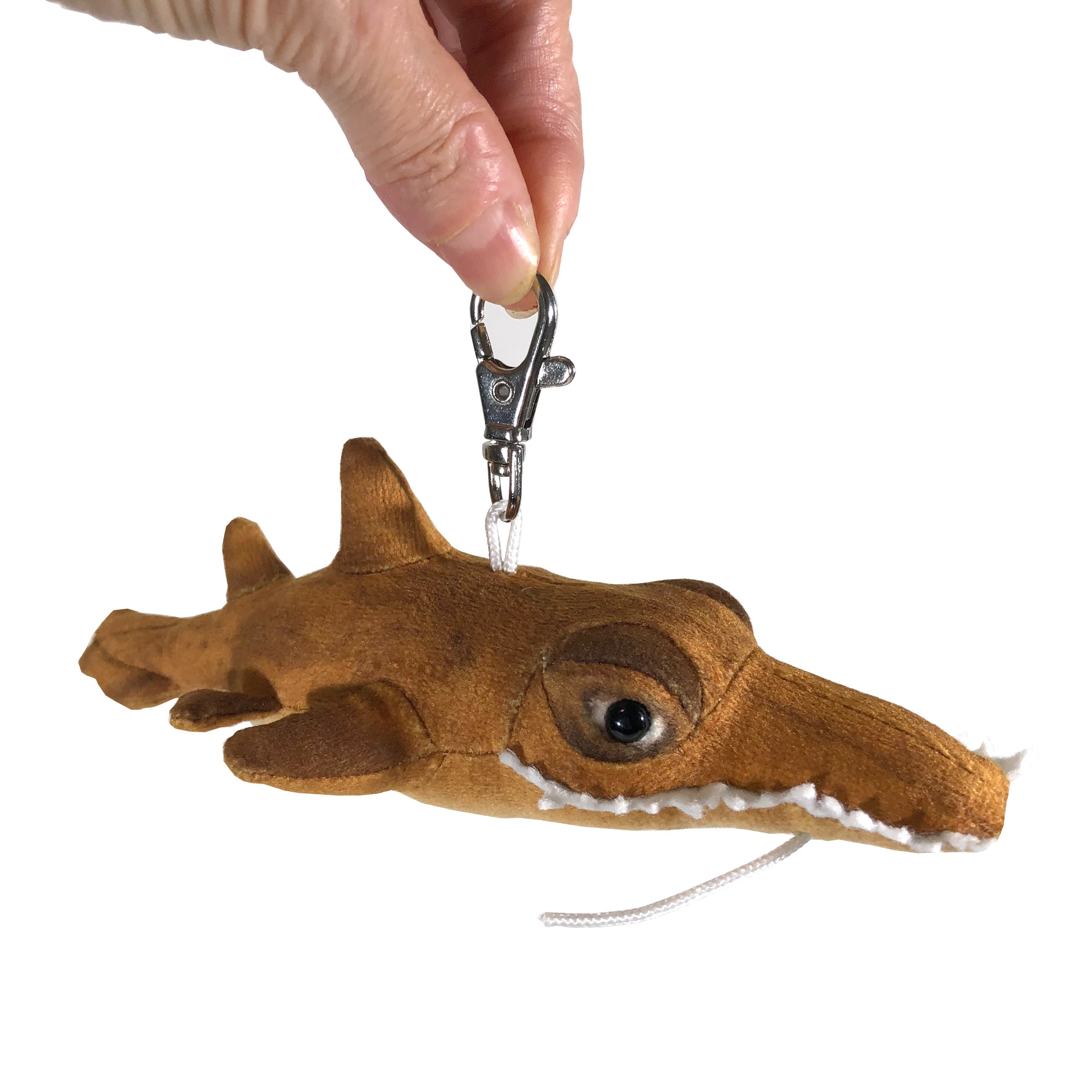 Shark Gift Box for Adults - Image 2