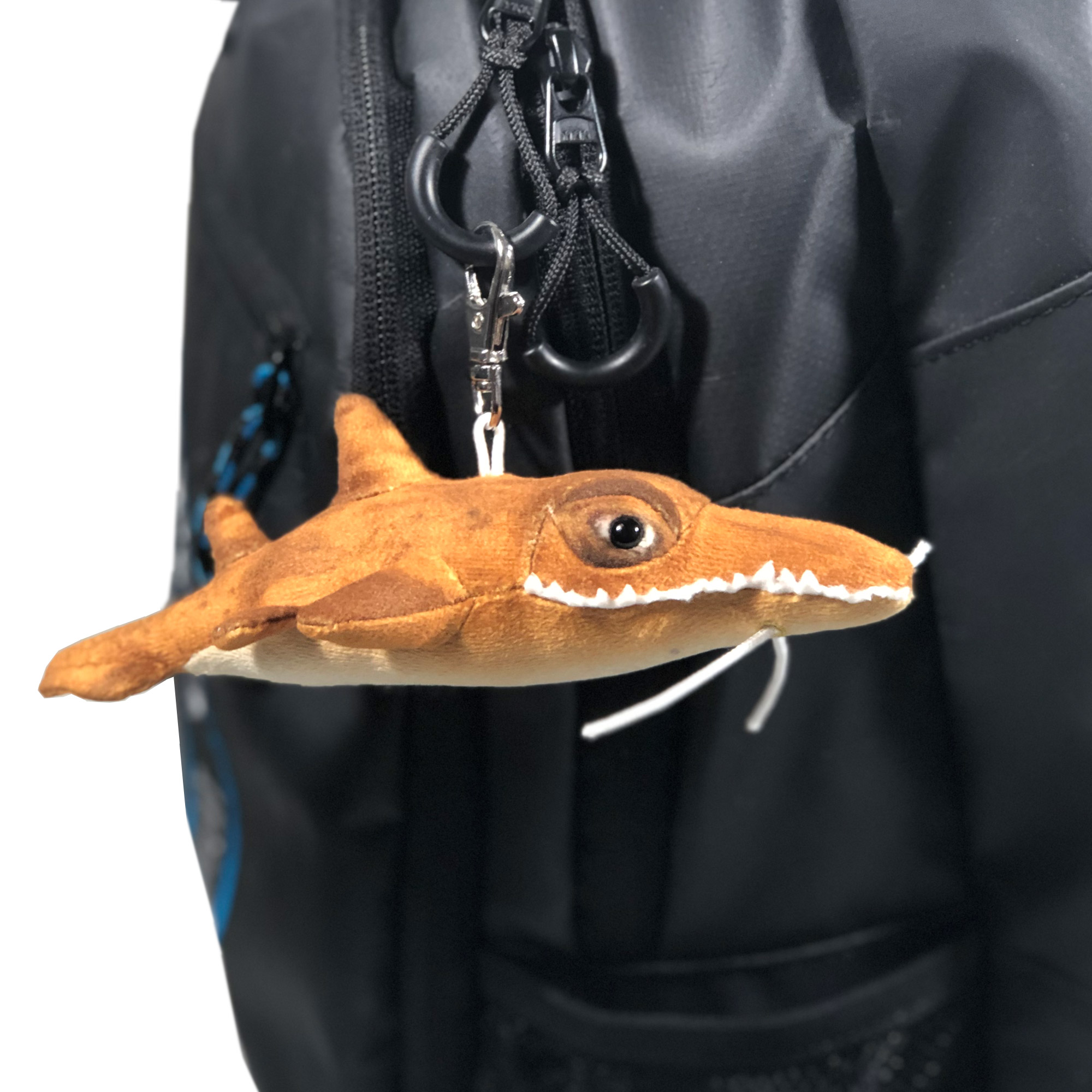 Shark Gift Box for Adults - Image 10