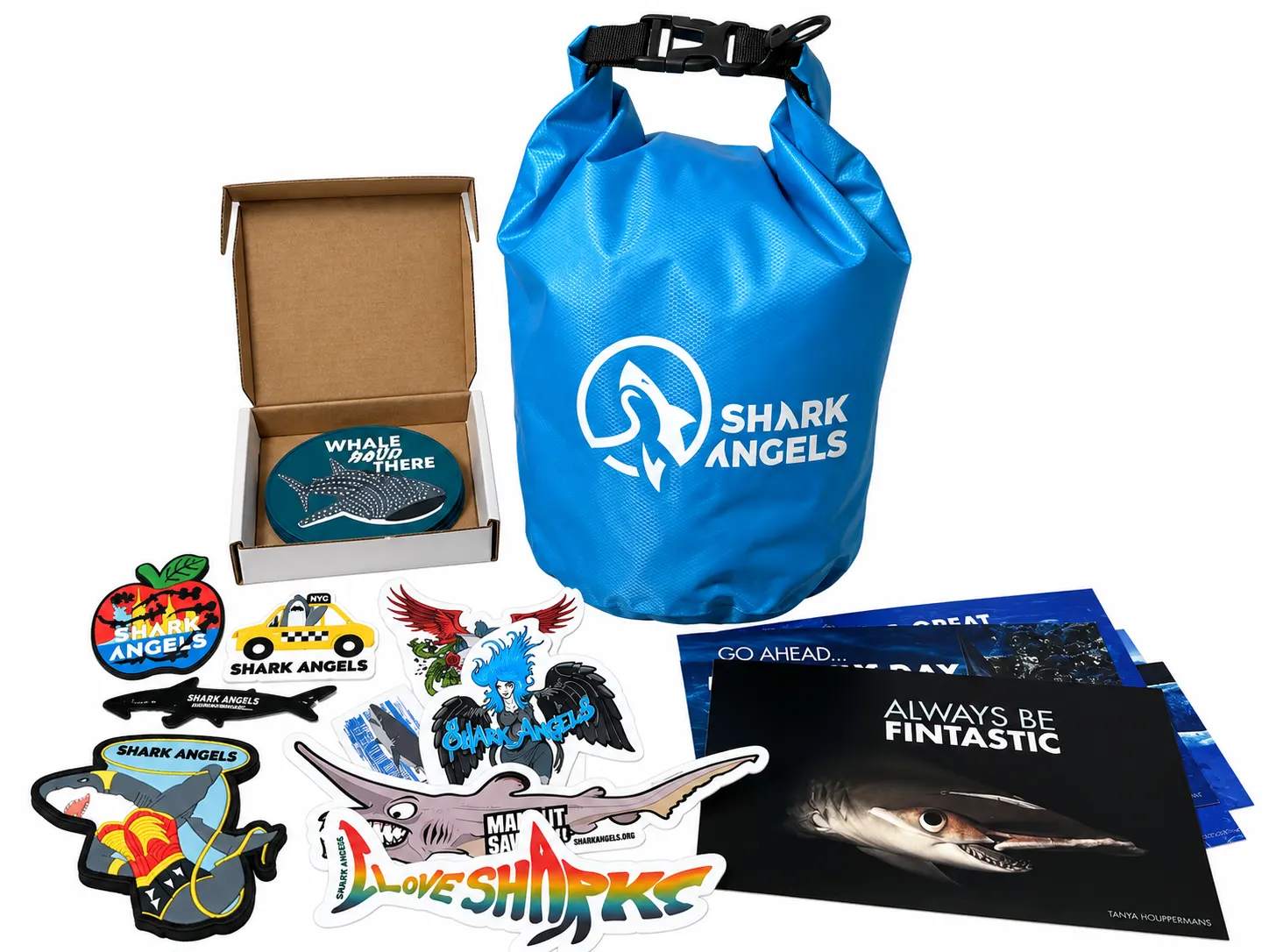Shark Gift Box for Adults