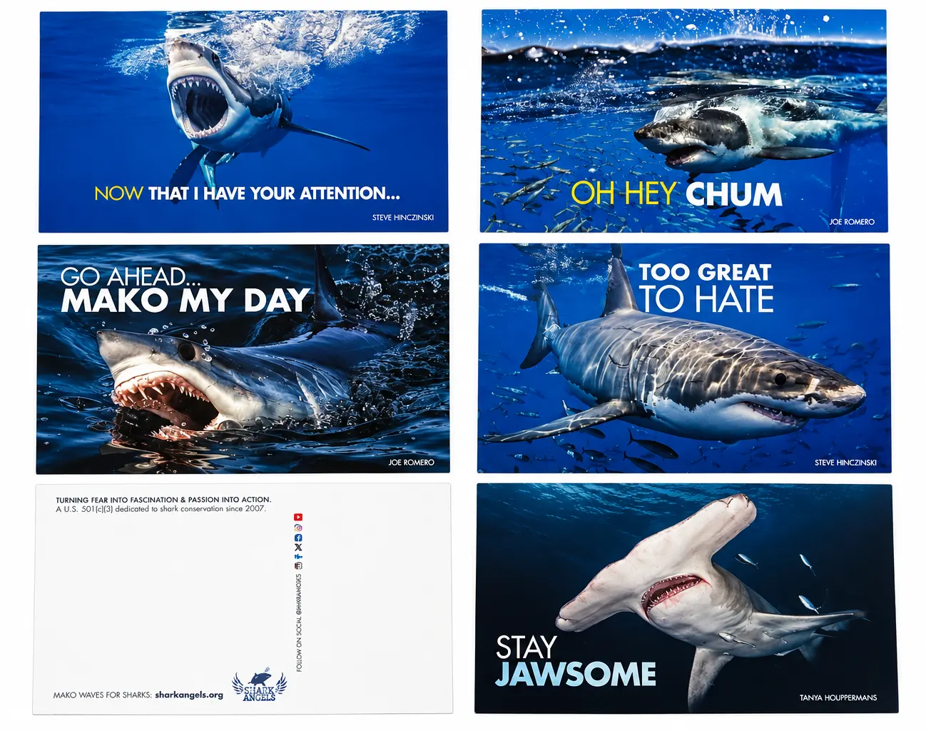 Shark Gift Box for Adults - Image 9